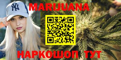 гидра Гусев