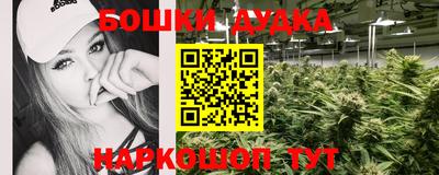 гидра Гусев