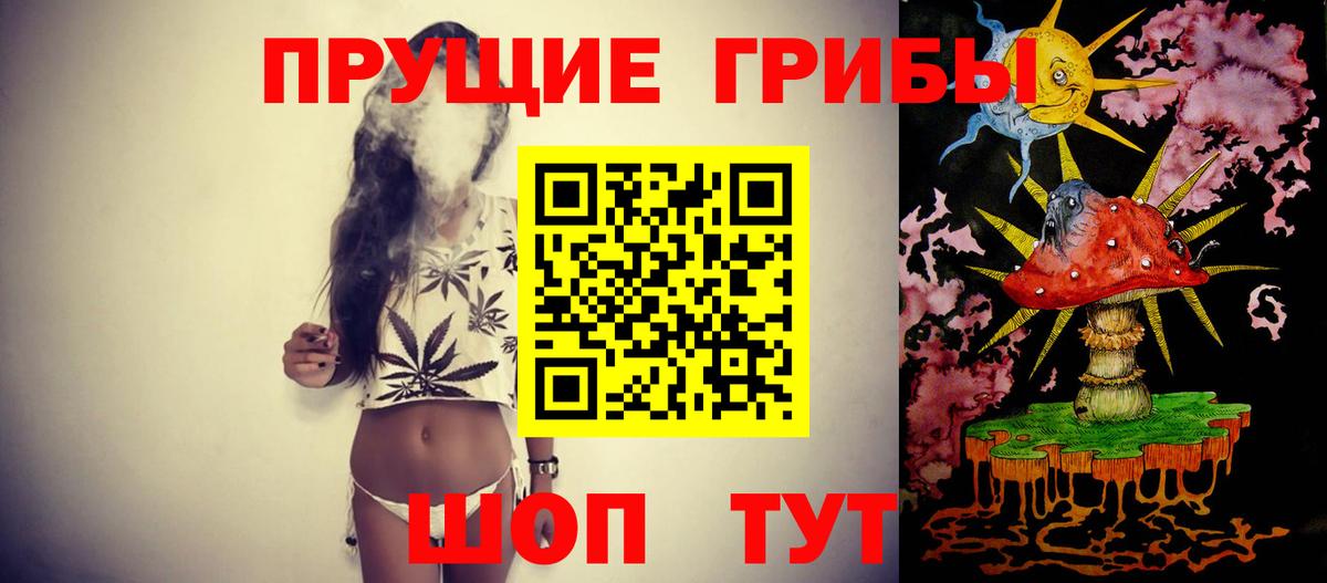 Псилоцибиновые грибы GOLDEN TEACHER  Вход с VPN  Заречный 